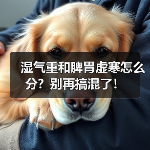 湿气重和脾胃虚寒怎么分?别再搞混了!(图2) 湿气重和脾胃虚寒怎么分?别再搞混了!(图2)