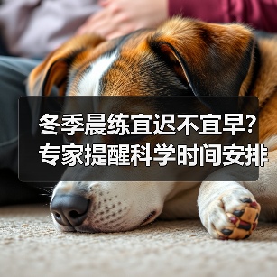 冬季晨练宜迟不宜早?专家提醒科学时间安排(图3) 冬季晨练宜迟不宜早?专家提醒科学时间安排(图3)