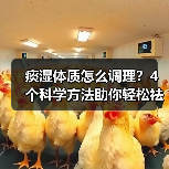 痰湿体质怎么调理？4个科学方法助你轻松祛湿（图2）