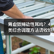 肾虚致搏动性耳鸣?4类综合调理方法请收好(图1) 肾虚致搏动性耳鸣?4类综合调理方法请收好(图1)