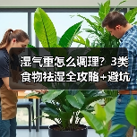 湿气重怎么调理?3类食物祛湿全攻略+避坑指南(图2) 湿气重怎么调理?3类食物祛湿全攻略+避坑指南(图2)