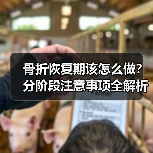 骨折恢复期该怎么做？分阶段注意事项全解析（图1）