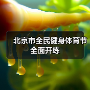 北京市全民健身体育节全面开练(图3) 北京市全民健身体育节全面开练(图3)