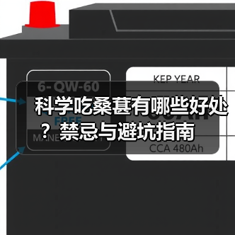 科学吃桑葚有哪些好处?禁忌与避坑指南(图4) 科学吃桑葚有哪些好处?禁忌与避坑指南(图4)