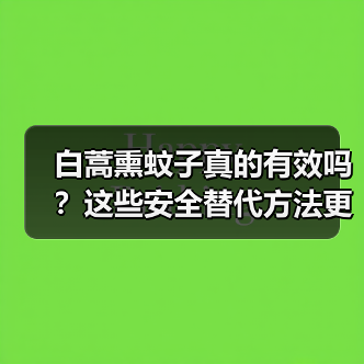 白蒿熏蚊子真的有效吗?这些安全替代方法更值得试试(图1) 白蒿熏蚊子真的有效吗?这些安全替代方法更值得试试(图1)