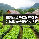 白蒿熏蚊子真的有效吗?这些安全替代方法更值得试试(图3) 白蒿熏蚊子真的有效吗?这些安全替代方法更值得试试(图3)