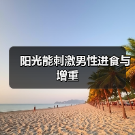 阳光能刺激男性进食与增重(图4) 阳光能刺激男性进食与增重(图4)