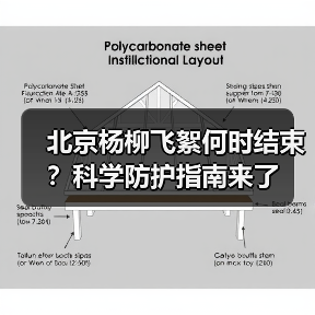 北京杨柳飞絮何时结束？科学防护指南来了（图1）