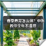 春季养背怎么做？中医教你全年不遭罪（图4）