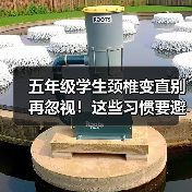 五年级学生颈椎变直别再忽视!这些习惯要避开(图2) 五年级学生颈椎变直别再忽视!这些习惯要避开(图2)
