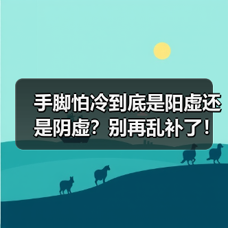 手脚怕冷到底是阳虚还是阴虚?别再乱补了!(图3) 手脚怕冷到底是阳虚还是阴虚?别再乱补了!(图3)