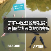 了解中医起源与发展:看懂传统医学的实践智慧(图3) 了解中医起源与发展:看懂传统医学的实践智慧(图3)