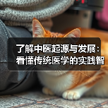 了解中医起源与发展:看懂传统医学的实践智慧(图4) 了解中医起源与发展:看懂传统医学的实践智慧(图4)