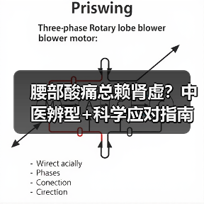腰部酸痛总赖肾虚?中医辨型+科学应对指南(图1) 腰部酸痛总赖肾虚?中医辨型+科学应对指南(图1)
