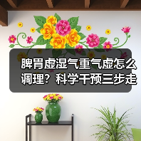脾胃虚湿气重气虚怎么调理？科学干预三步走（图3）
