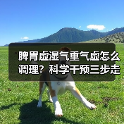 脾胃虚湿气重气虚怎么调理？科学干预三步走（图4）