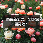 蹲练新姿势,全身燃脂更高效?(图3) 蹲练新姿势,全身燃脂更高效?(图3)
