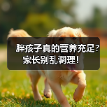 胖孩子真的营养充足？家长别乱调理！（图4）