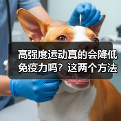 高强度运动真的会降低免疫力吗?这两个方法帮你判断(图1) 高强度运动真的会降低免疫力吗?这两个方法帮你判断(图1)