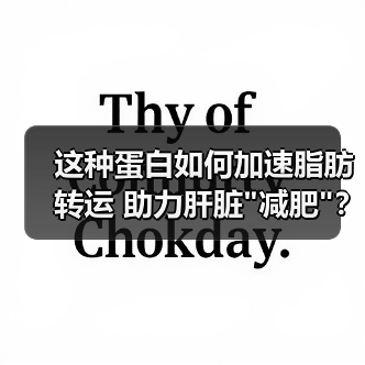 这种蛋白如何加速脂肪转运 助力肝脏 这种蛋白如何加速脂肪转运 助力肝脏