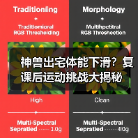 神兽出宅体能下滑?复课后运动挑战大揭秘(图4) 神兽出宅体能下滑?复课后运动挑战大揭秘(图4)