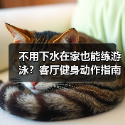 不用下水在家也能练游泳?客厅健身动作指南(图3) 不用下水在家也能练游泳?客厅健身动作指南(图3)