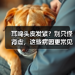 耳鸣头皮发紧?别只怪肾虚,这些病因更常见(图1) 耳鸣头皮发紧?别只怪肾虚,这些病因更常见(图1)