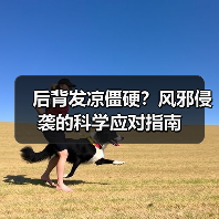 后背发凉僵硬?风邪侵袭的科学应对指南(图3) 后背发凉僵硬?风邪侵袭的科学应对指南(图3)