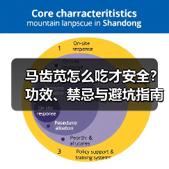 马齿苋怎么吃才安全?功效、禁忌与避坑指南(图1) 马齿苋怎么吃才安全?功效、禁忌与避坑指南(图1)