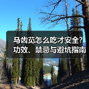 马齿苋怎么吃才安全?功效、禁忌与避坑指南(图3) 马齿苋怎么吃才安全?功效、禁忌与避坑指南(图3)