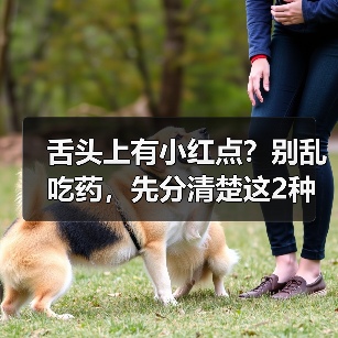 舌头上有小红点?别乱吃药,先分清楚这2种情况(图1) 舌头上有小红点?别乱吃药,先分清楚这2种情况(图1)
