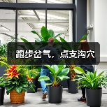 跑步岔气,点支沟穴(图4) 跑步岔气,点支沟穴(图4)