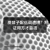 覆盆子配伍调遗精？辨证用方才靠谱（图4）