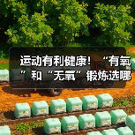 运动有利健康!“有氧”和“无氧”锻炼选哪种最合适?(图1) 运动有利健康!“有氧”和“无氧”锻炼选哪种最合适?(图1)