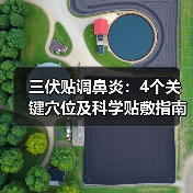 三伏贴调鼻炎:4个关键穴位及科学贴敷指南(图3) 三伏贴调鼻炎:4个关键穴位及科学贴敷指南(图3)