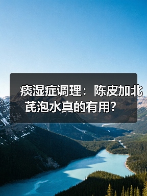 痰湿症调理:陈皮加北芪泡水真的有用?(图3) 痰湿症调理:陈皮加北芪泡水真的有用?(图3)