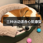 三种运动适合心脏康复（图1）