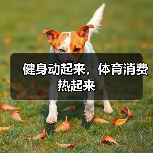 健身动起来,体育消费热起来(图1) 健身动起来,体育消费热起来(图1)
