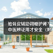 地骨皮辅助调糖护肾？中医辨证用才安全（附避坑指南）（图1）