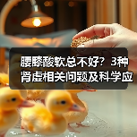 腰膝酸软总不好?3种肾虚相关问题及科学应对指南(图1) 腰膝酸软总不好?3种肾虚相关问题及科学应对指南(图1)