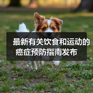 最新有关饮食和运动的癌症预防指南发布（图4）