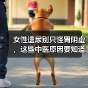 女性遗尿别只怪肾阴虚,这些中医原因要知道(图4) 女性遗尿别只怪肾阴虚,这些中医原因要知道(图4)