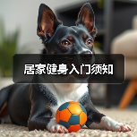 居家健身入门须知(图3) 居家健身入门须知(图3)