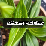 疲劳之后不可剧烈运动(图2) 疲劳之后不可剧烈运动(图2)