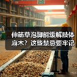伸筋草泡脚能缓解肢体麻木?这些禁忌要牢记(图2) 伸筋草泡脚能缓解肢体麻木?这些禁忌要牢记(图2)