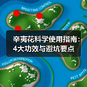 辛夷花科学使用指南:4大功效与避坑要点(图2) 辛夷花科学使用指南:4大功效与避坑要点(图2)