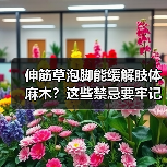 伸筋草泡脚能缓解肢体麻木?这些禁忌要牢记(图3) 伸筋草泡脚能缓解肢体麻木?这些禁忌要牢记(图3)