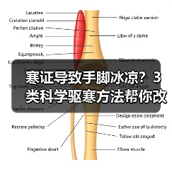 寒证导致手脚冰凉?3类科学驱寒方法帮你改善不适(图4) 寒证导致手脚冰凉?3类科学驱寒方法帮你改善不适(图4)