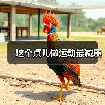 这个点儿做运动最减压(图4) 这个点儿做运动最减压(图4)