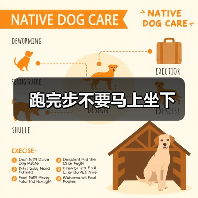 跑完步不要马上坐下